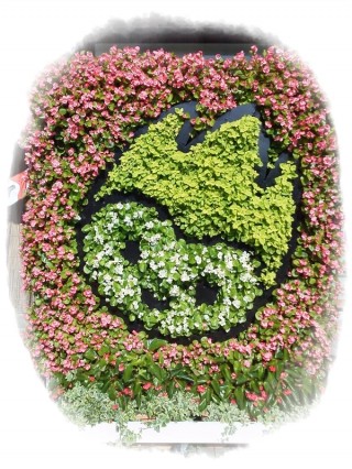 ちょるるだっ！！！