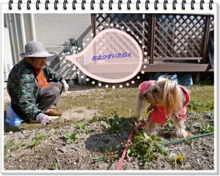 気持ち良いワン