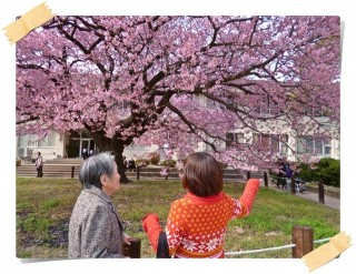 みてみて～(((o(*ﾟ▽ﾟ*)o)))