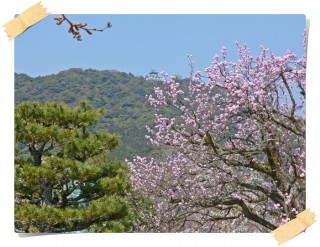 あれに見えるは岩国城！