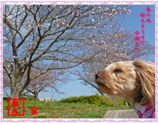 風になぜか顔を向けてしまう私。。。