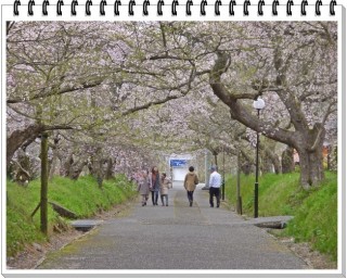 仲良し小道はどこの道？