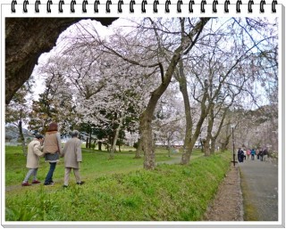 この道はいつかきた道。。。