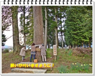 抱っこしたからいいことある！