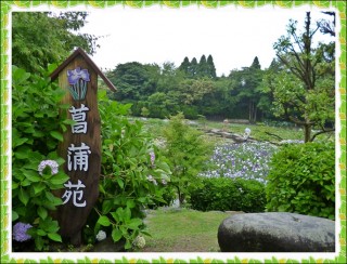 梅雨といえばここでしょ！