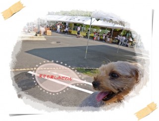 あたしは暑いのダメです