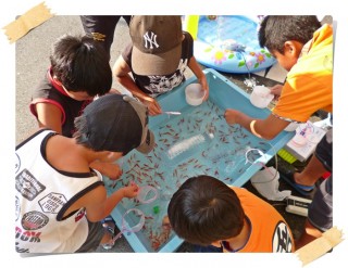 金魚連れて帰って～