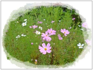 待っててね~ 待っててね~