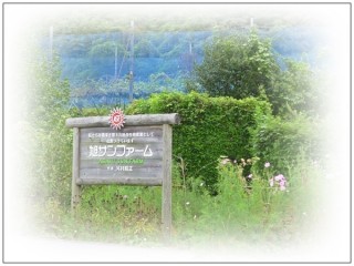 今年はここに決めた! 今年はここに決めた!