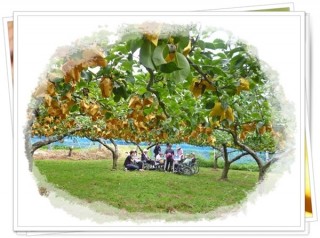 恐るべし! 恐るべし!