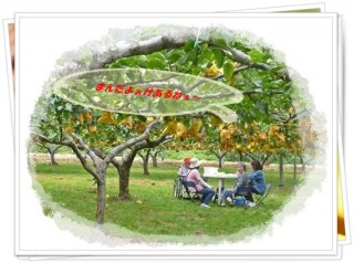 上を向いて食べよう 上を向いて食べよう