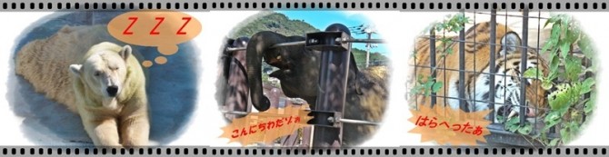 動物さん(」・ω・)