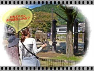 お鼻が長いです