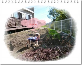 アン 佇む アン 佇む