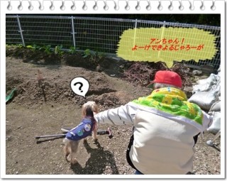 草取り職人参上 草取り職人参上