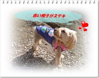 カープ男子?です カープ男子?です