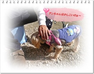 その手、土まみれですけど! その手、土まみれですけど!