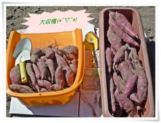 食べ尽くします！