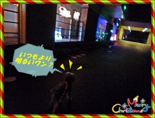 女の子は夜道は危ないけれど。。。