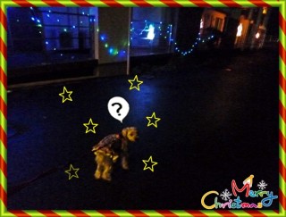 目がチカチカ？