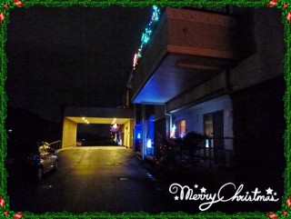 ようこそイルミの杜へ