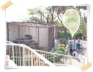 つよし発見!!! つよし発見!!!