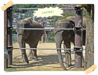 ツーショット! ツーショット!