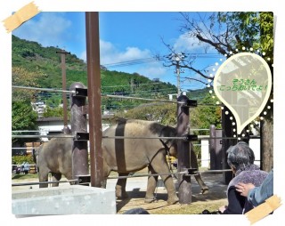 どっちが男かいねぇ??? どっちが男かいねぇ???