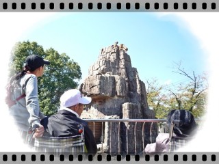 お尻は赤いです