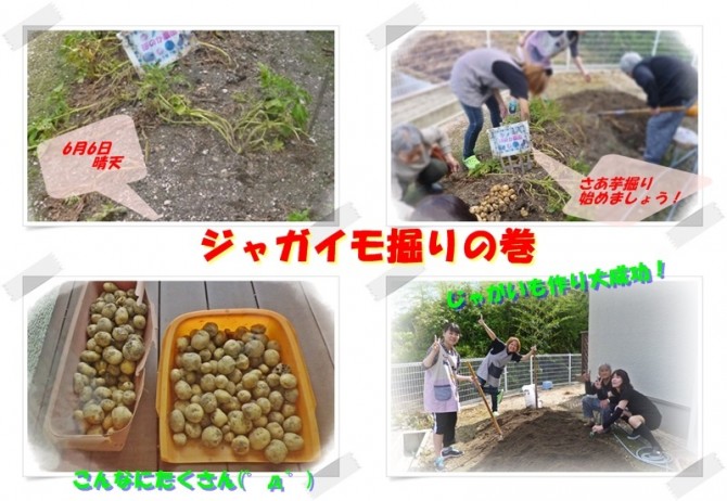 楽しみは多い方がいい