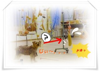 アンわくわく村へ！