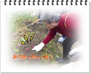 畑の中からこんにちは！