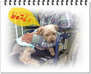 草は、とっとかんといけん