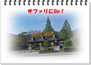 きました、サファリ！