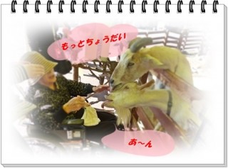 ヤギも食欲の秋！