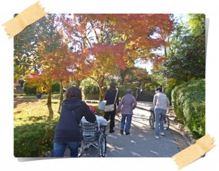 濃いも薄いもかずあるなかに。。。