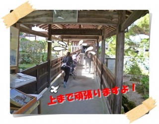 秋を感じるにも試練の道