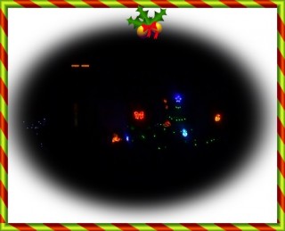 イルミの杜だ！