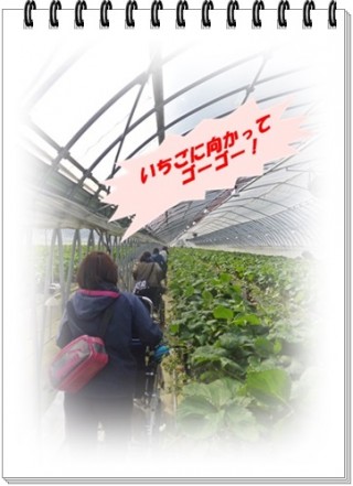 採って採ってとりまくろぉ～！