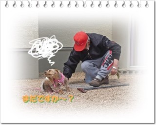 草にヤキモチしちゃうワン