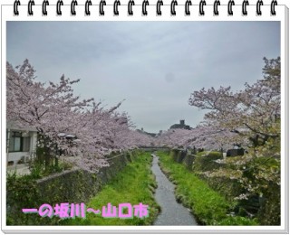 おすすめ！その１