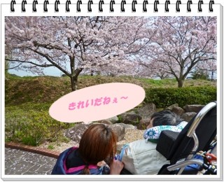 ピンクが(*´ω｀*)