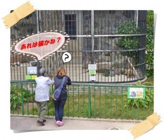 だれかの服によく似た柄! だれかの服によく似た柄!