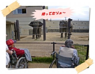 おっきぃねぇ! おっきぃねぇ!