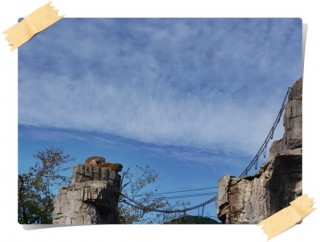 痒いのはここですか? 痒いのはここですか?