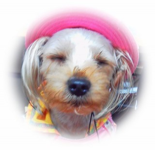 アンです アンです