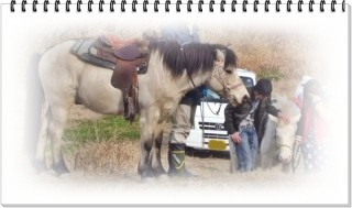 こちらは牡のお馬さん！