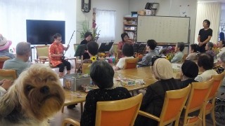 ノン リポート二胡