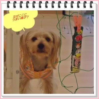 こんなん見つけました！