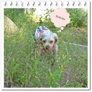 さぁがんばるぞぉ！